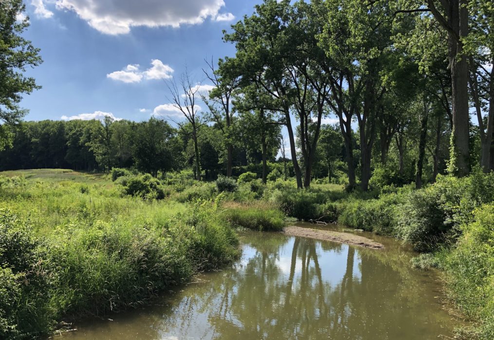 “From golf course to park? Couple aspires to establish a nature preserve in northern Zionsville”