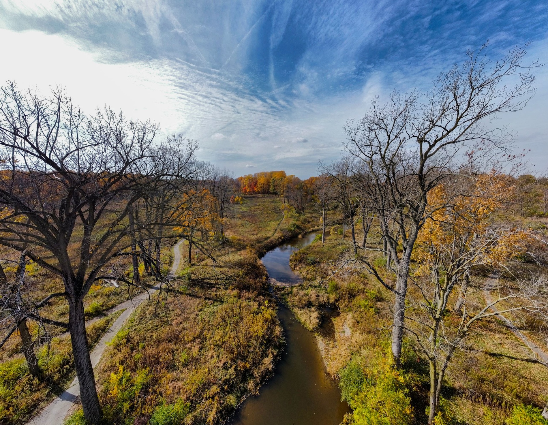 Carpenter Nature Preserve